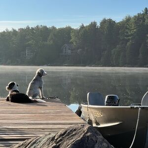 Meet your Posher, Tina